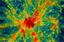 Un esempio della simulazione dell'espansione dell'universo. La regione nel riquadro è ricca di ammassi di galassie (fonte: Argonne National Laboratory, U.S Dept of Energy)