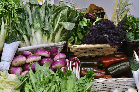 Varietà di vegetali foto iStock.