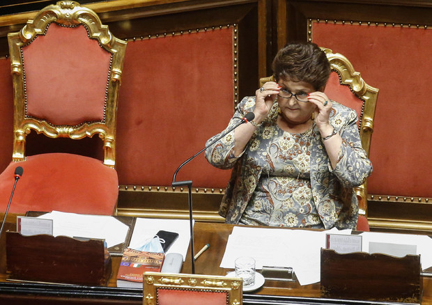 Ministra Bellanova, battaglia in Europa per più risorse (ANSA)