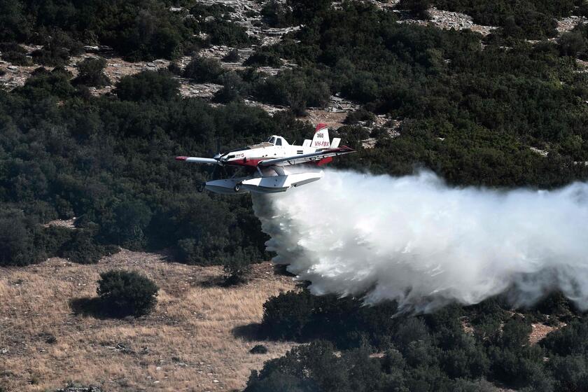 Incendi in Grecia © ANSA/AFP